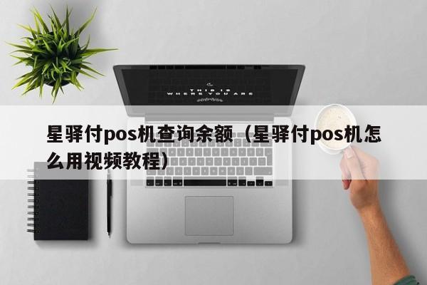 星驿付pos机查询余额（星驿付pos机怎么用视频教程）