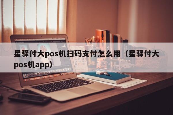 星驿付大pos机扫码支付怎么用（星驿付大pos机app）