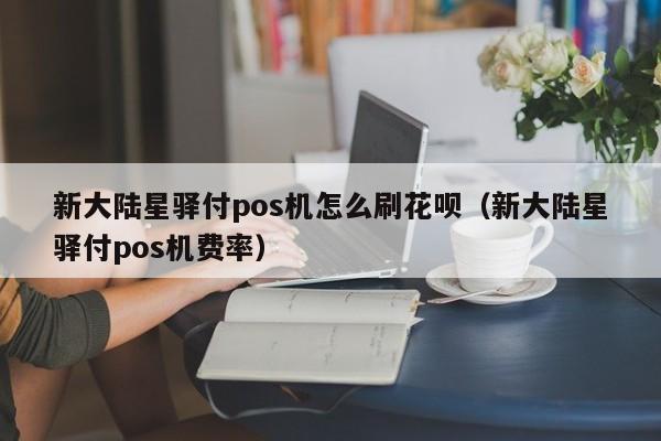 新大陆星驿付pos机怎么刷花呗（新大陆星驿付pos机费率）