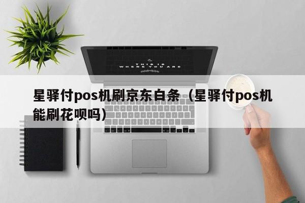 星驿付pos机刷京东白条（星驿付pos机能刷花呗吗）