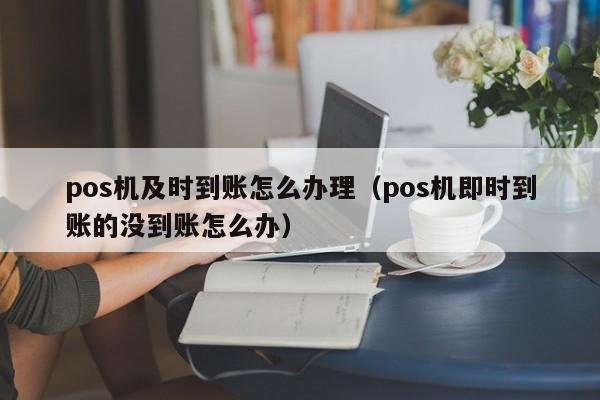 pos机及时到账怎么办理（pos机即时到账的没到账怎么办）