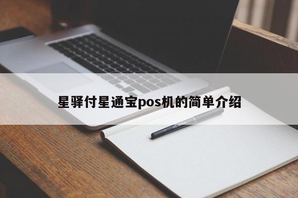 星驿付星通宝pos机的简单介绍