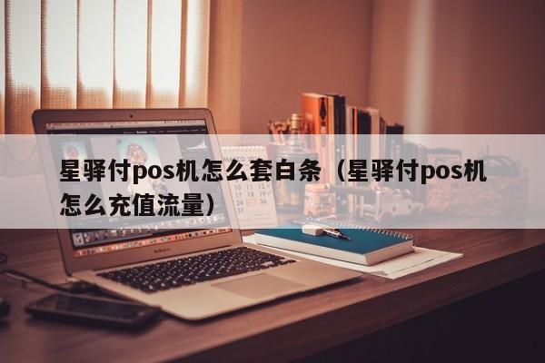 星驿付pos机怎么套白条（星驿付pos机怎么充值流量）