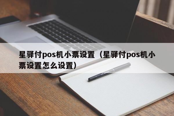 星驿付pos机小票设置（星驿付pos机小票设置怎么设置）