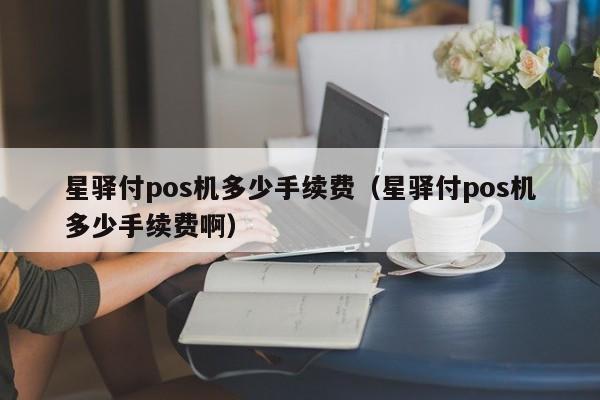 星驿付pos机多少手续费（星驿付pos机多少手续费啊）