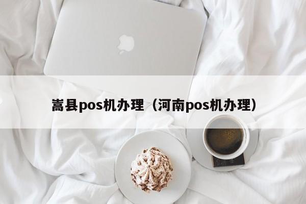 嵩县pos机办理（河南pos机办理）