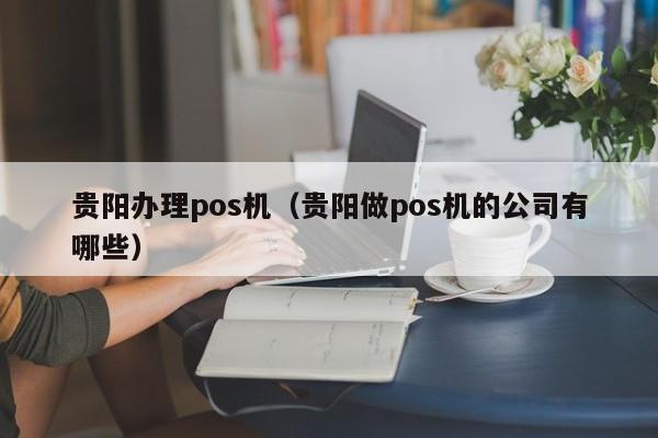 贵阳办理pos机（贵阳做pos机的公司有哪些）