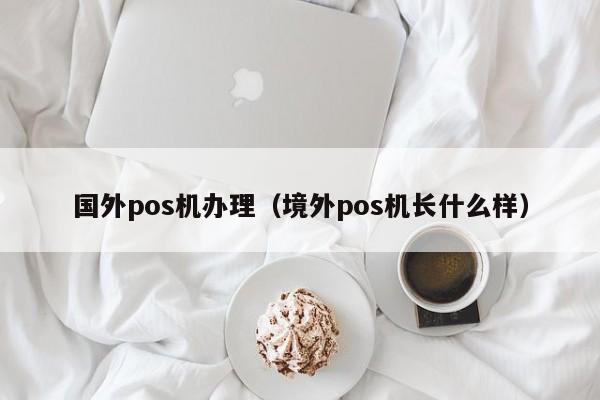 国外pos机办理（境外pos机长什么样）