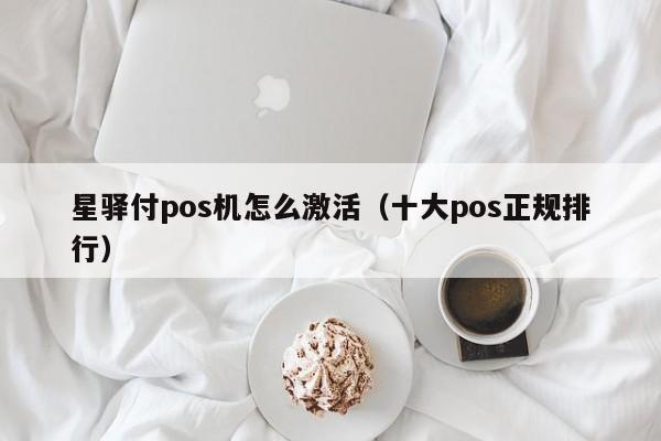 星驿付pos机怎么激活（十大pos正规排行）