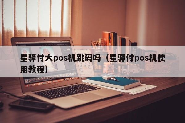 星驿付大pos机跳码吗（星驿付pos机使用教程）