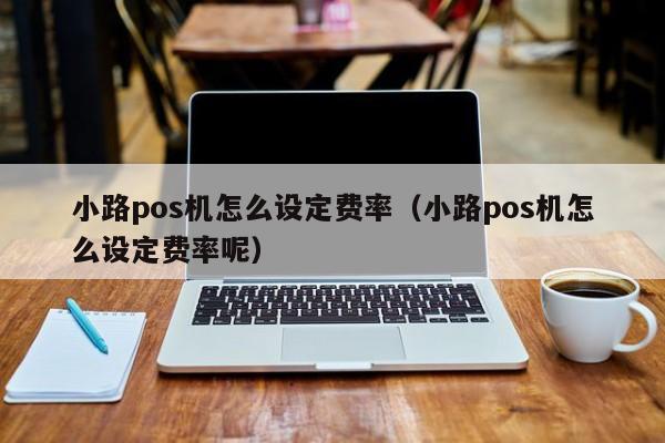 小路pos机怎么设定费率（小路pos机怎么设定费率呢）