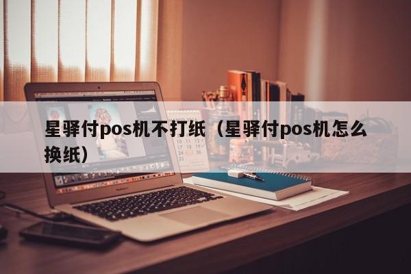 星驿付pos机不打纸（星驿付pos机怎么换纸）