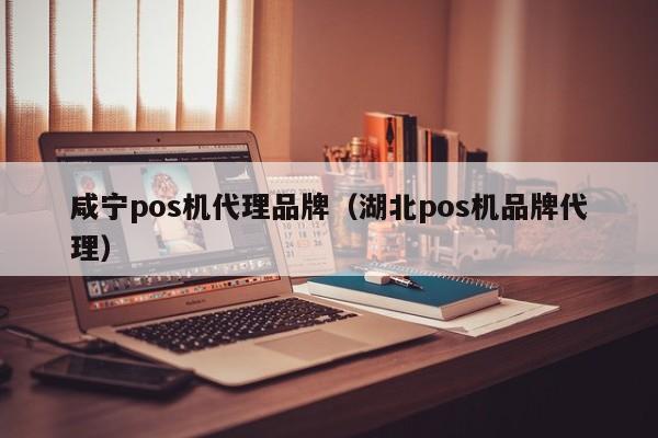 咸宁pos机代理品牌（湖北pos机品牌代理）