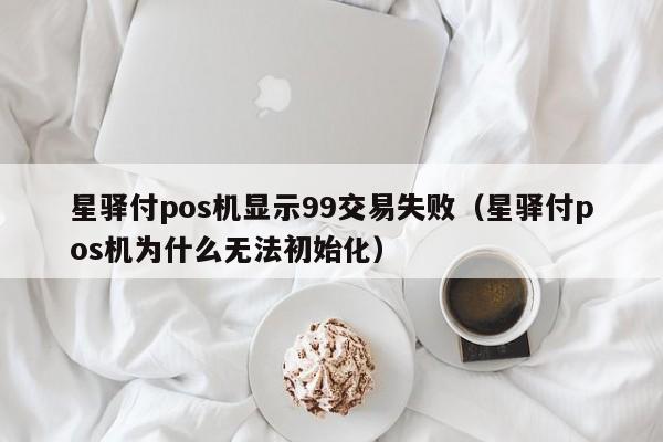 星驿付pos机显示99交易失败（星驿付pos机为什么无法初始化）