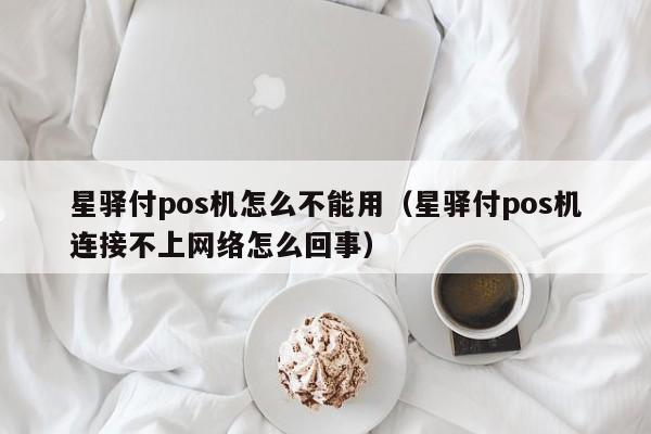 星驿付pos机怎么不能用（星驿付pos机连接不上网络怎么回事）