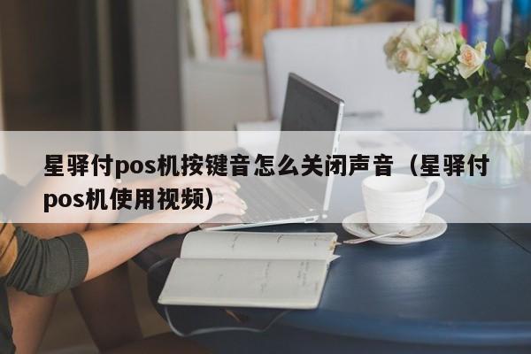 星驿付pos机按键音怎么关闭声音（星驿付pos机使用视频）