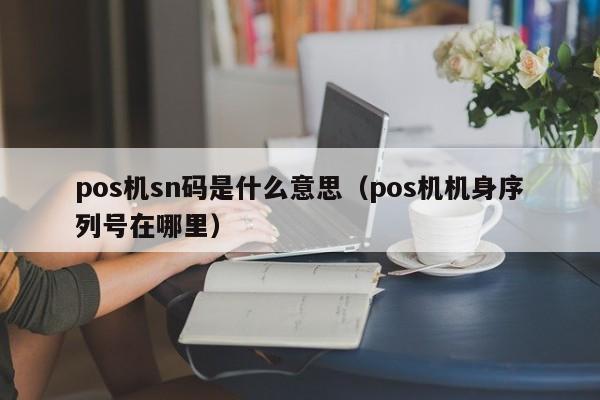 pos机sn码是什么意思（pos机机身序列号在哪里）