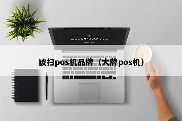 被扫pos机品牌（大牌pos机）