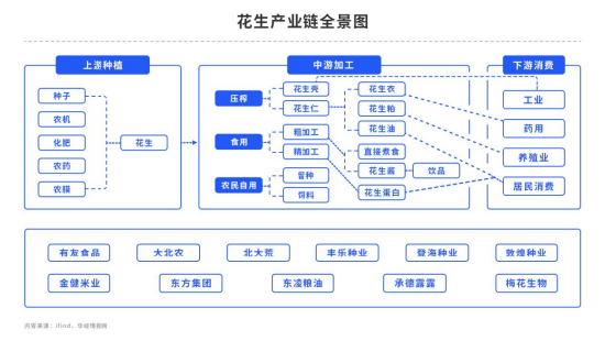 【中粮视点】花生：两广收获季正逢台风泰利