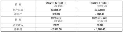 江西赣锋锂业集团股份有限公司第五届董事会第六十五次会议决议公告