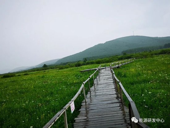 美元大跌，API大幅去库，油价迎来上攻窗口